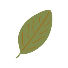 leaf hand drawn. vector, minimalism. isolated, icon, sticker.