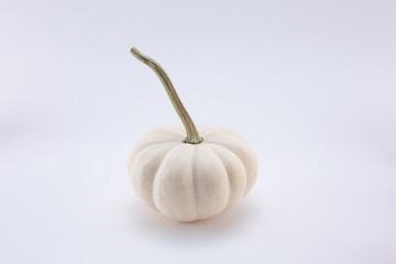A view of a petite white pumpkin, on a white background.