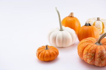 A view of a group of small pumpkins on the right side of the frame, on a white background.