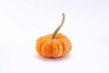 A view of a some mini pumpkins, on a white background.