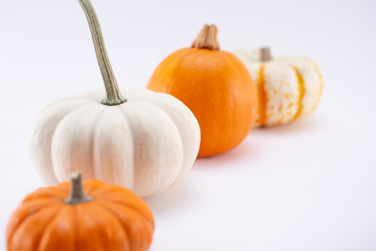 A view of a group of small pumpkins, on a white background.