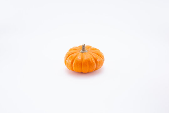 A view of a petite orange pumpkins, on a white background.