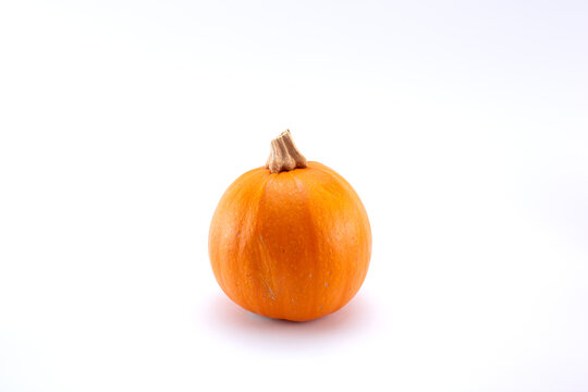 A view of a mini orange pumpkins, on a white background.