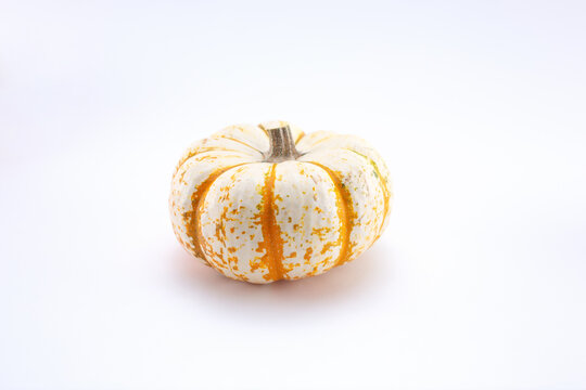 A view of a mini white and orange pumpkins, on a white background.