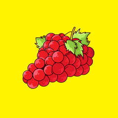 Fresh red grape fruit vector design