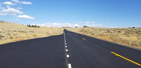 Yellowstone National Park landscape from the park road, Wyoming