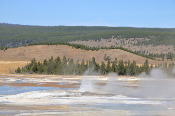 Volcanic Geyser erupting at Yellowstone National Park, Wyoming