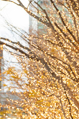 【都市風景】丸の内イルミネーション