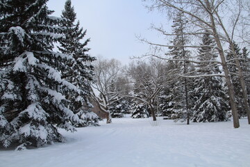 Cold December, Gold Bar Park, Edmonton, Alberta