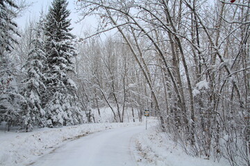 Cold Winter Trail, Gold Bar Park, Edmonton, Alberta