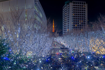 東京都港区六本木から見た東京の都市景観