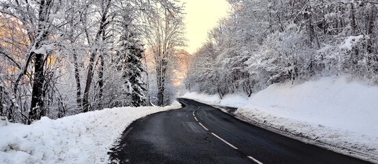 road through a forest with trees covered with frost in alpine mountain