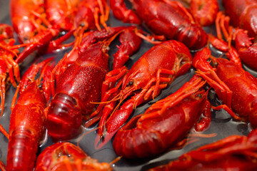 Chinese Spicy crayfish, Chinese Food.boiled crayfish on an iron plate. boiled red crayfish background for menu. top view, closeup,soft focus image.