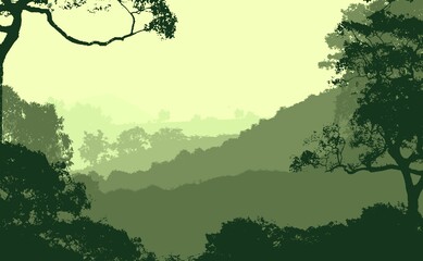 Trees in the fog. Deep forest haze. Hills covered by plants and foliage. Shrubs and bushes. Majestic view. Deep forest.
