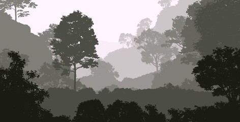 Fototapeta premium Trees in the fog. Deep forest haze. Hills covered by plants and foliage. Shrubs and bushes. Majestic view. Deep forest.