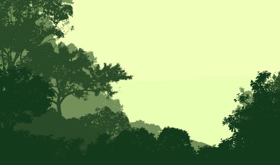 Trees in the fog. Deep forest haze. Hills covered by plants and foliage. Shrubs and bushes. Majestic view. Deep forest.