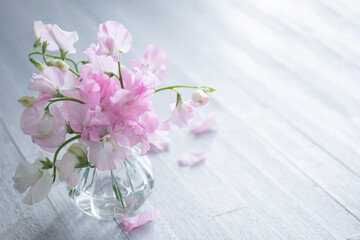 ピンクのスイートピー　春の花の背景 - obrazy, fototapety, plakaty