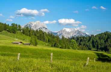Idyllic summer meadow with mountains in the background, Heutal, Unken, Pinzgau, Salzburger Land,...