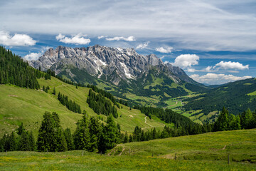 Fototapeta na wymiar Summer alpine landscape with alpine pastures, forest and mountain range, Hochkoenig, Maria Alm, Dienten, Salzburg, Austria