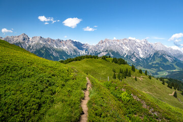 Fototapeta na wymiar Hiking trail in an idyllic summer landscape in the Alps, Salzburg, Austria