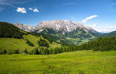 Fototapeta na wymiar Summer alpine meadow in the alps, Hochkoenig massif, Maria Alm, Dienten, Salzburg, Austria
