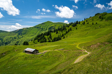 Summer alpine landscape with alpine pastures, Maria Alm, Dienten, Salzburg, Austria