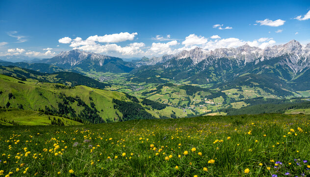 Flower meadow with a panoramic view of Maria Alm and Saalfelden, Salzburg, Austria