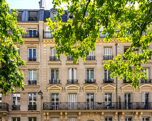 Traditional bulding with typical windows and balconies in bright summer day as seen through tree leaves. Paris, France - obrazy, fototapety, plakaty