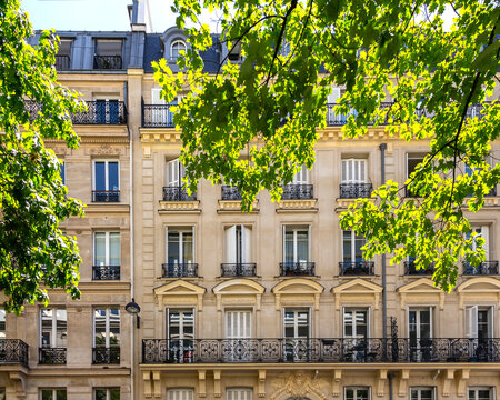 Traditional bulding with typical windows and balconies in bright summer day as seen through tree leaves. Paris, France