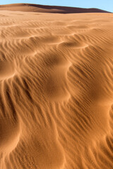 A vertical golden sand dune at sunset in the Sossusvlei National Park in Namibia, showing wind swept ripples in the sand