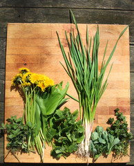 wiosenne listki kwiaty i zioła na drewnianej desce zdrowie i witaminy