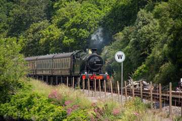 Steam train on green hills. Dartmouth Steam Railway is a heritage railway on the former Great Western Railway