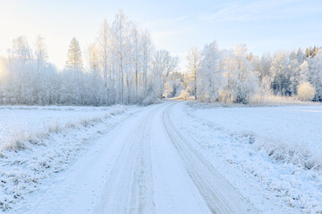 Fototapeta na wymiar Frosty and snowy landscape