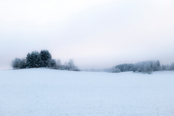 Frosty and snowy landscape