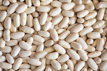 White beans or navy beans background, healthy dried legume packed with vitamins, minerals, fibers and antioxidants, and widely used, soaked and cooked, in various dishes such as soups, salads or stews