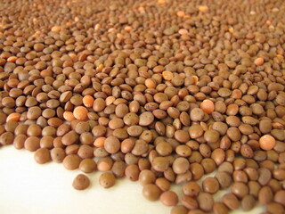 Brown mountain lentils distributed flatly on a wooden board