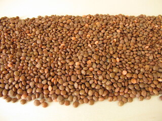 Brown mountain lentils distributed flatly on a wooden board