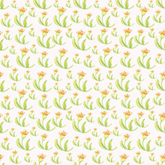 Seamless watercolor calendula bud pattern isolated on white background.Use for textile.