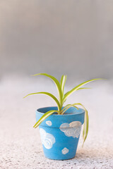 Headband, love bond, in decorated flowerpot on gray background