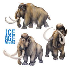Watercolor collection of mammoths isolated on white background. - 477592201