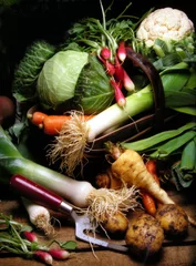 Plexiglas foto achterwand Home grown vegetables on a table  © Tony Craddock