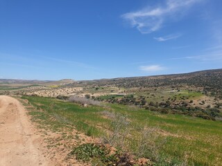 Beautiful landscapes in the spring, the city of Tiaret, Algeria