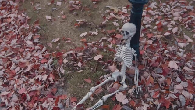 halloween skeleton decoration