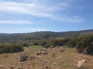 Fototapeta na wymiar Beautiful landscapes in the spring, the city of Tiaret, Algeria