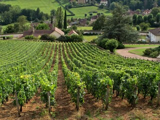 Fototapeta na wymiar Village et vignoble en Bourgogne.