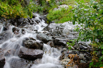 waterfall in the forest