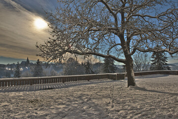 Winter landscape in sunny winter day.Tree covered with snow. Winter snowy background, winter park...