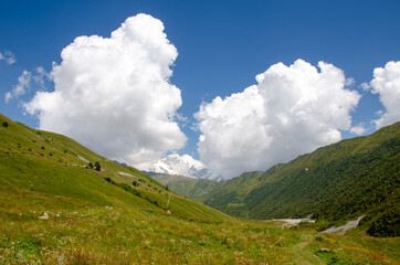 Fototapeta premium landscape with sky
