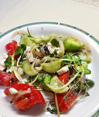 Salad of fresh vegetables and greens - lettuce leaves, cut red tomatoes and white cheese and sprouts