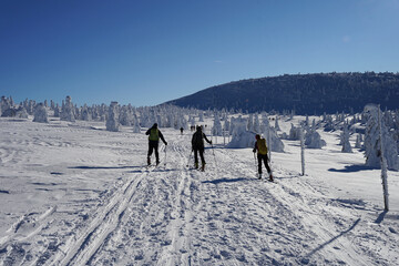 Group of experienced ski mountaineers on plateau during beautiful winter sunny day, Krkonose Giant Mountains, Czech Republic